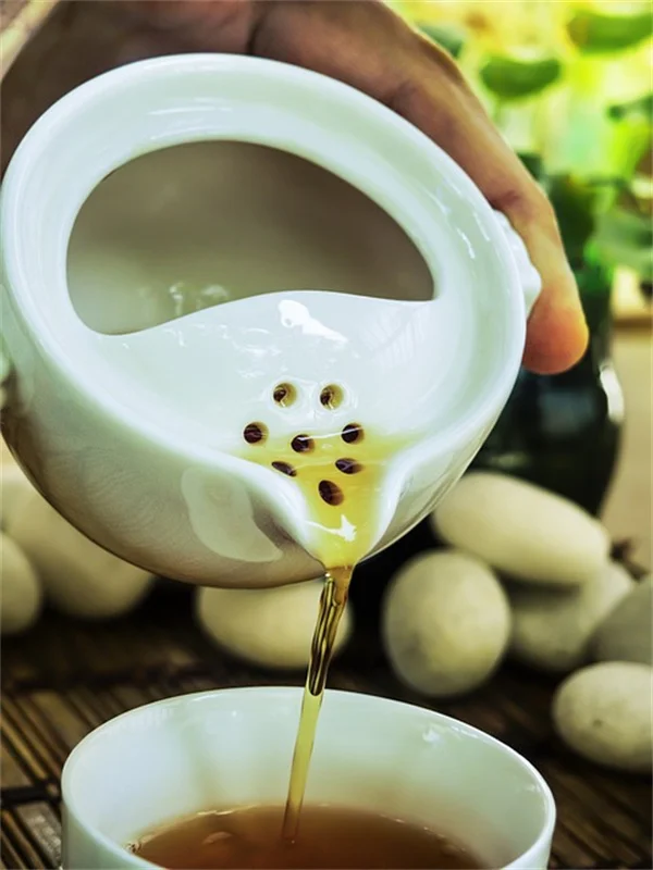 香草乾燥茶、朝採りが決め手！プロが教える5つの方法と失敗しないコツ