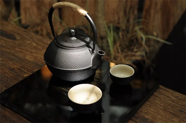 自然復元の始め方：完璧な芝生を捨てる5ステップ