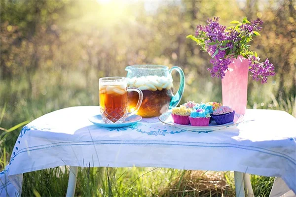 8月 Garden To-Do List：今すぐやるべき5つのことと秋の準備
