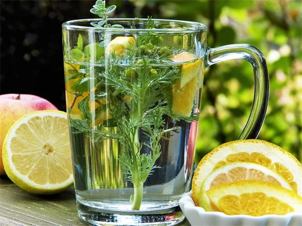 植物の水やりでやってはいけない時間帯5選